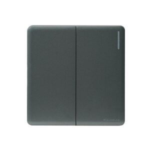 platinum 2 gang switch